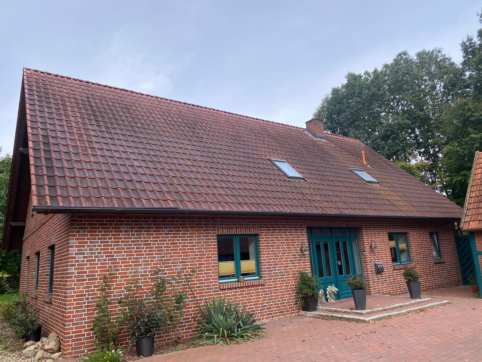 Dachreinigung Oldenburg Vorher